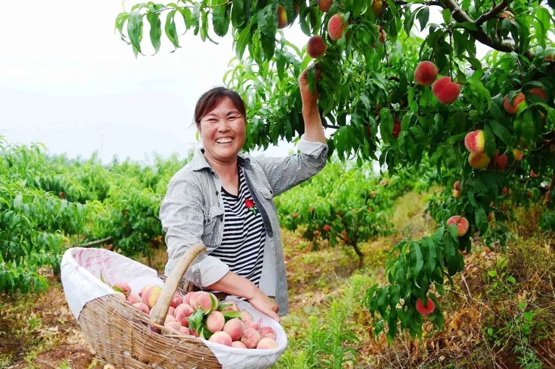 縣區(qū)動(dòng)態(tài) | 來泌陽吧，來一場(chǎng)不一樣的生態(tài)游