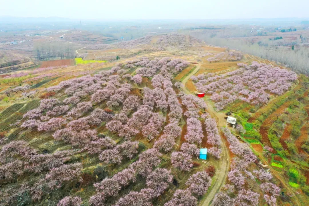 縣區(qū)動(dòng)態(tài) | 來泌陽吧，來一場(chǎng)不一樣的生態(tài)游