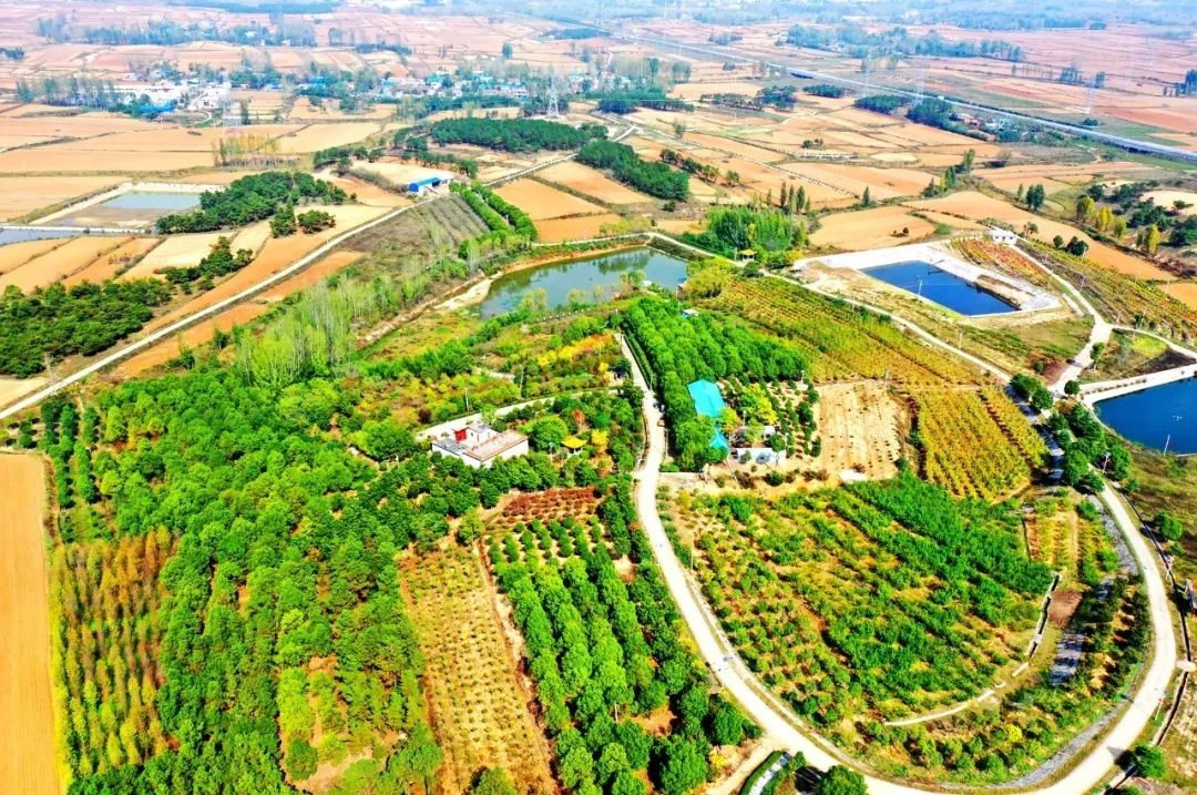 縣區(qū)動(dòng)態(tài) | 來泌陽吧，來一場(chǎng)不一樣的生態(tài)游