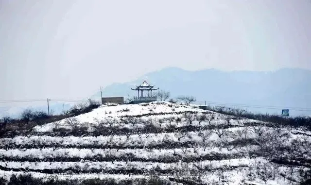 縣區(qū)動(dòng)態(tài) | 來泌陽吧，來一場(chǎng)不一樣的生態(tài)游