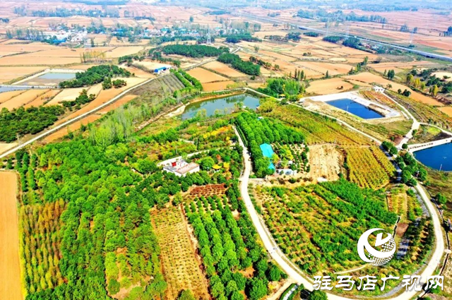 【大美天中】果香四溢 四季如畫 泌陽打造旅游避暑勝地