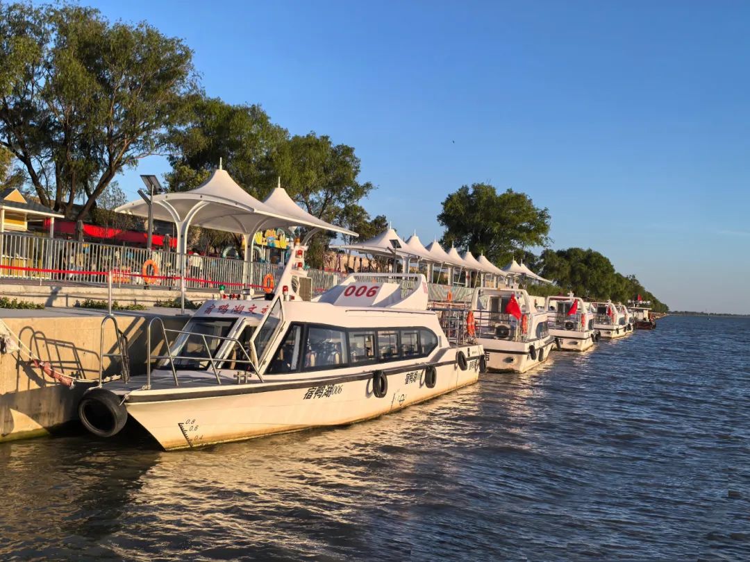 暑期親子游好去處：駐馬店宿鴨湖，與孩子共赴自然之約！