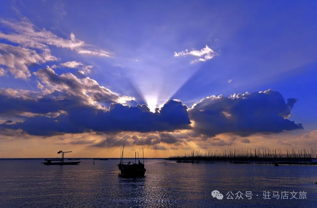 暑期親子游好去處：駐馬店宿鴨湖，與孩子共赴自然之約！