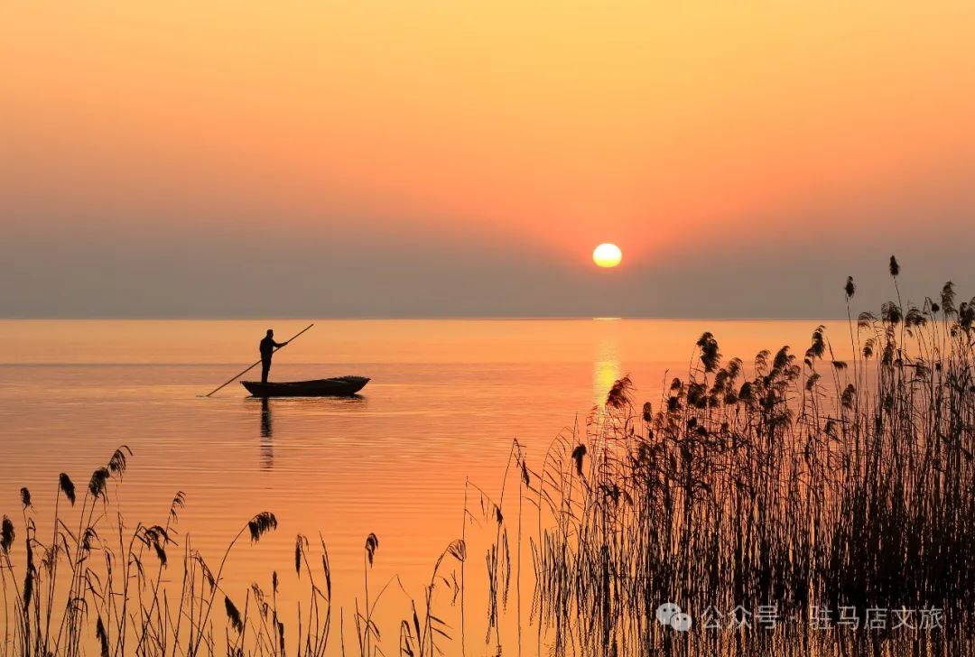 暑期親子游好去處：駐馬店宿鴨湖，與孩子共赴自然之約！