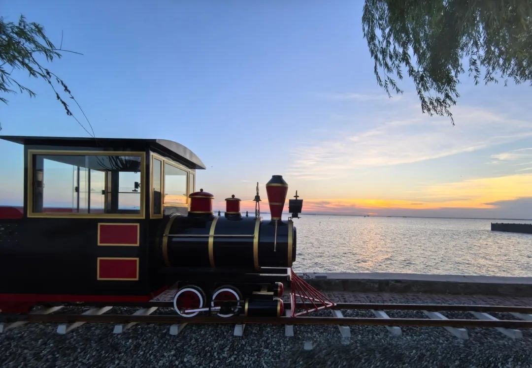 暑期親子游好去處：駐馬店宿鴨湖，與孩子共赴自然之約！