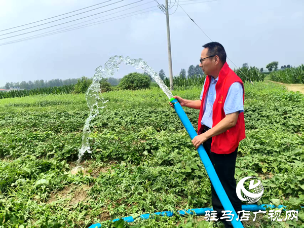 平輿縣萬金店鎮(zhèn)：多舉措抗旱保秋 筑牢豐收防線