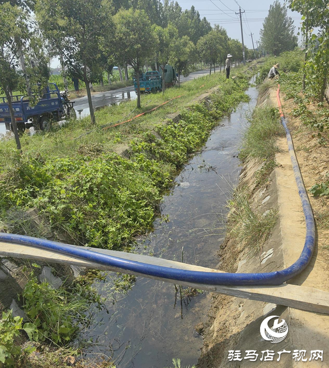 驛城區(qū)全力抗旱保秋 筑牢糧食生產安全屏障