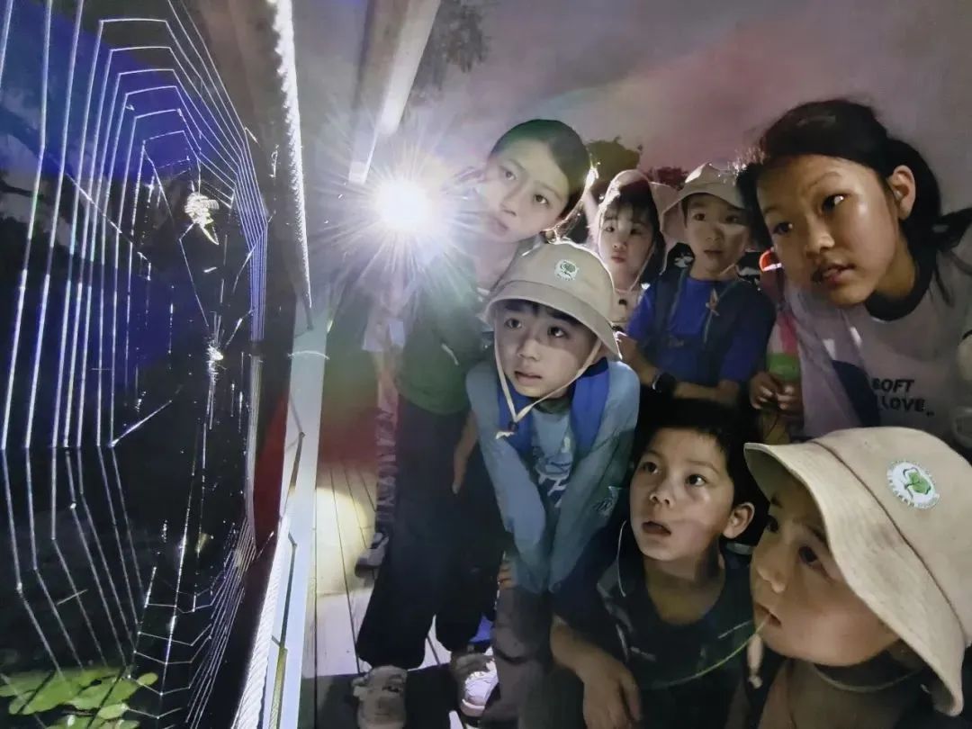 白天賞文物，夜晚追星河！這些活動(dòng)讓親子時(shí)光更有料