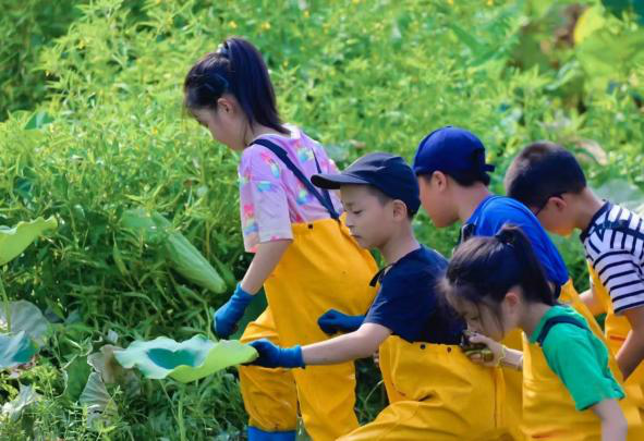 白天賞文物，夜晚追星河！這些活動(dòng)讓親子時(shí)光更有料