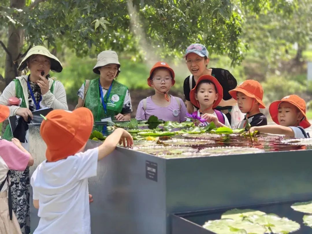 白天賞文物，夜晚追星河！這些活動(dòng)讓親子時(shí)光更有料