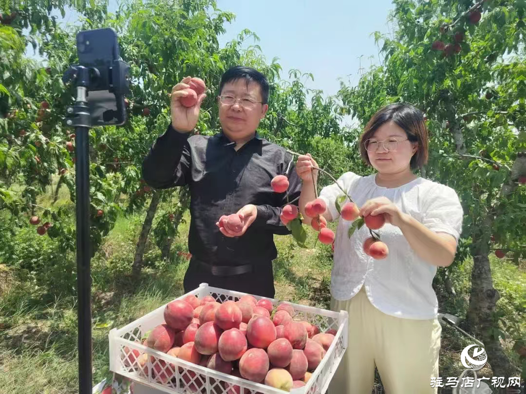 正陽縣政協(xié)委員化身主播繪就助農(nóng)好“豐”景