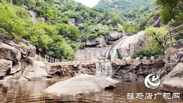 大暑時節(jié)：于熱浪中尋一份清涼詩意