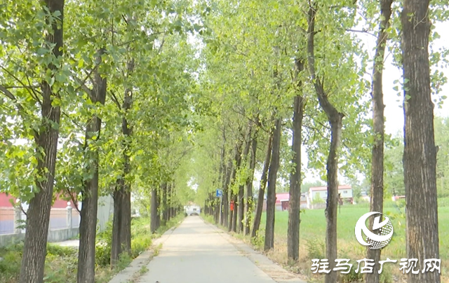 生態(tài)“打底”產(chǎn)業(yè)“生金” 朱古洞村繪就振興新圖景