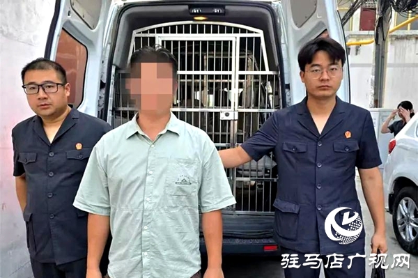 平輿縣人民法院:心存僥幸拒還款 拘傳施壓促履行