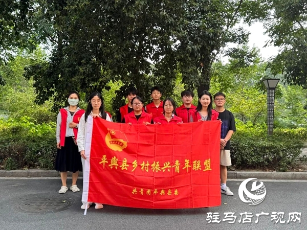 共青團平輿縣委“青春奮斗新時代·暑期實踐展風采”系列活動（一）