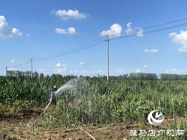 西平縣委書記侯公濤調(diào)研:聚焦產(chǎn)業(yè)與民生 筑牢發(fā)展安全線