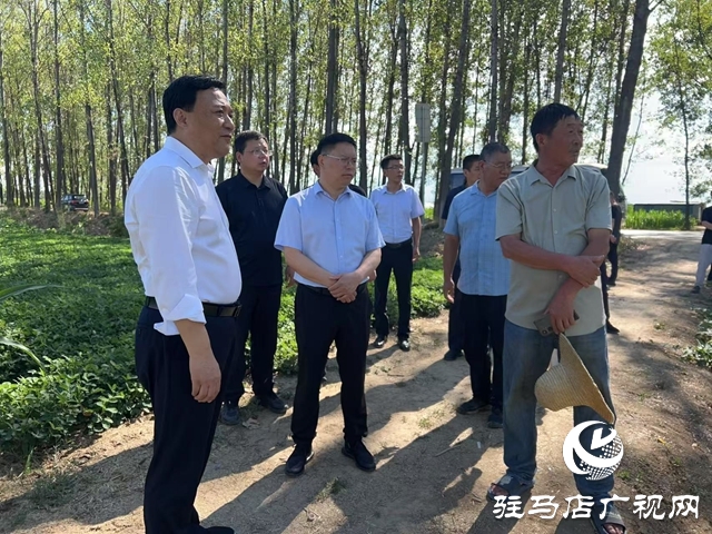 西平縣委書記侯公濤調(diào)研:聚焦產(chǎn)業(yè)與民生 筑牢發(fā)展安全線