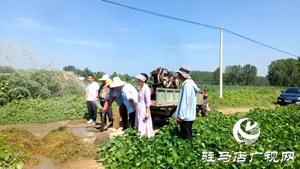 平輿縣老王崗鄉(xiāng)：干群同心抗旱保秋 為秋糧豐收“保駕護(hù)航”