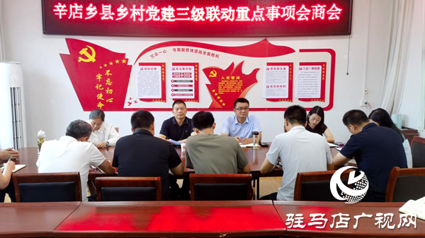 平輿縣辛店鄉(xiāng)：一線督導(dǎo)解難題，三級(jí)聯(lián)動(dòng)強(qiáng)攻堅(jiān)