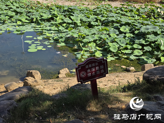 防溺水日:公園嚴禁游泳 共護生命安全