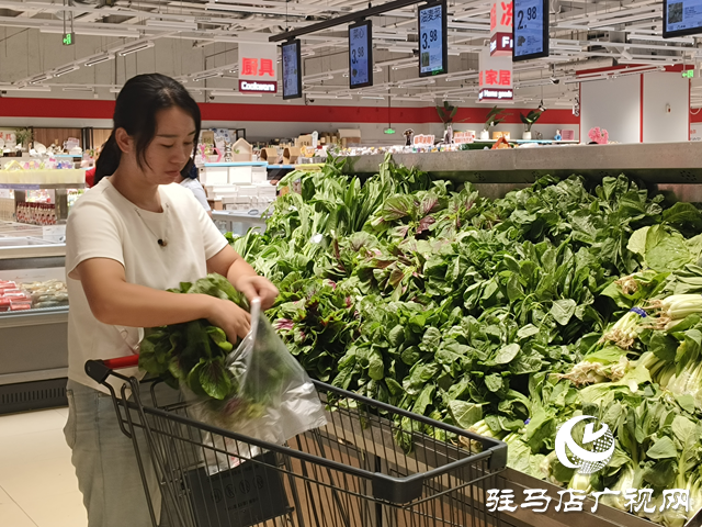 “平價(jià)護(hù)眼菜”莧菜大量上市 營(yíng)養(yǎng)美味引市民熱購(gòu)