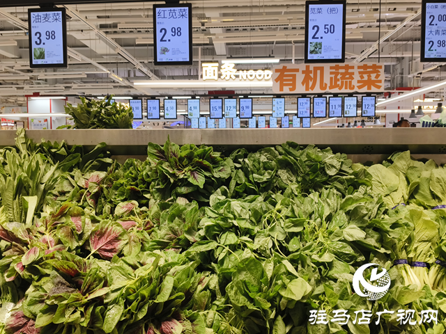 “平價(jià)護(hù)眼菜”莧菜大量上市 營(yíng)養(yǎng)美味引市民熱購(gòu)