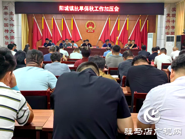 平輿縣陽城鎮(zhèn)：多措并舉抗旱保秋 筑牢糧食安全防線