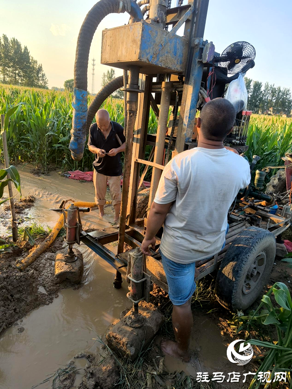 平輿縣射橋鎮(zhèn)：多措并舉抗旱保秋 力保糧食生產(chǎn)安全