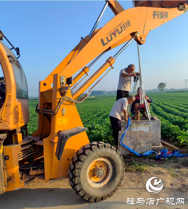 平輿縣射橋鎮(zhèn)：多措并舉抗旱保秋 力保糧食生產(chǎn)安全
