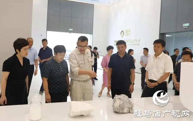駐馬店職業(yè)技術(shù)學(xué)院校長(zhǎng)宋華民帶隊(duì)開展“訪企拓崗”專項(xiàng)行動(dòng)