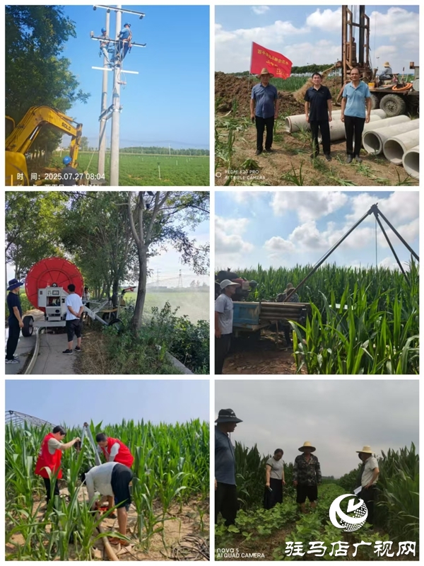 西平縣黨員干部沖鋒在前 全力打好抗旱保秋攻堅(jiān)戰(zhàn)