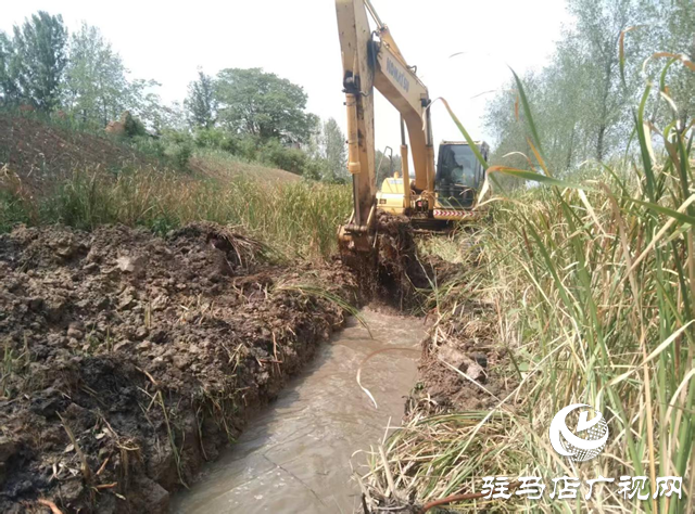 遂平縣玉山鎮(zhèn):多點發(fā)力抗旱保秋 筑牢糧食安全防線