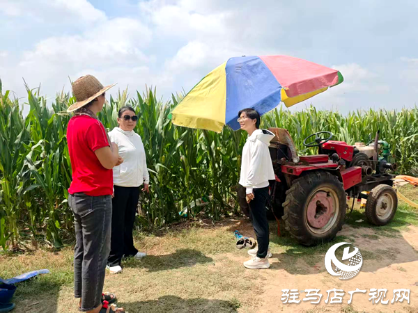 平輿縣射橋鎮(zhèn)：專家田間“傳經” 抗旱保收穩(wěn)增收