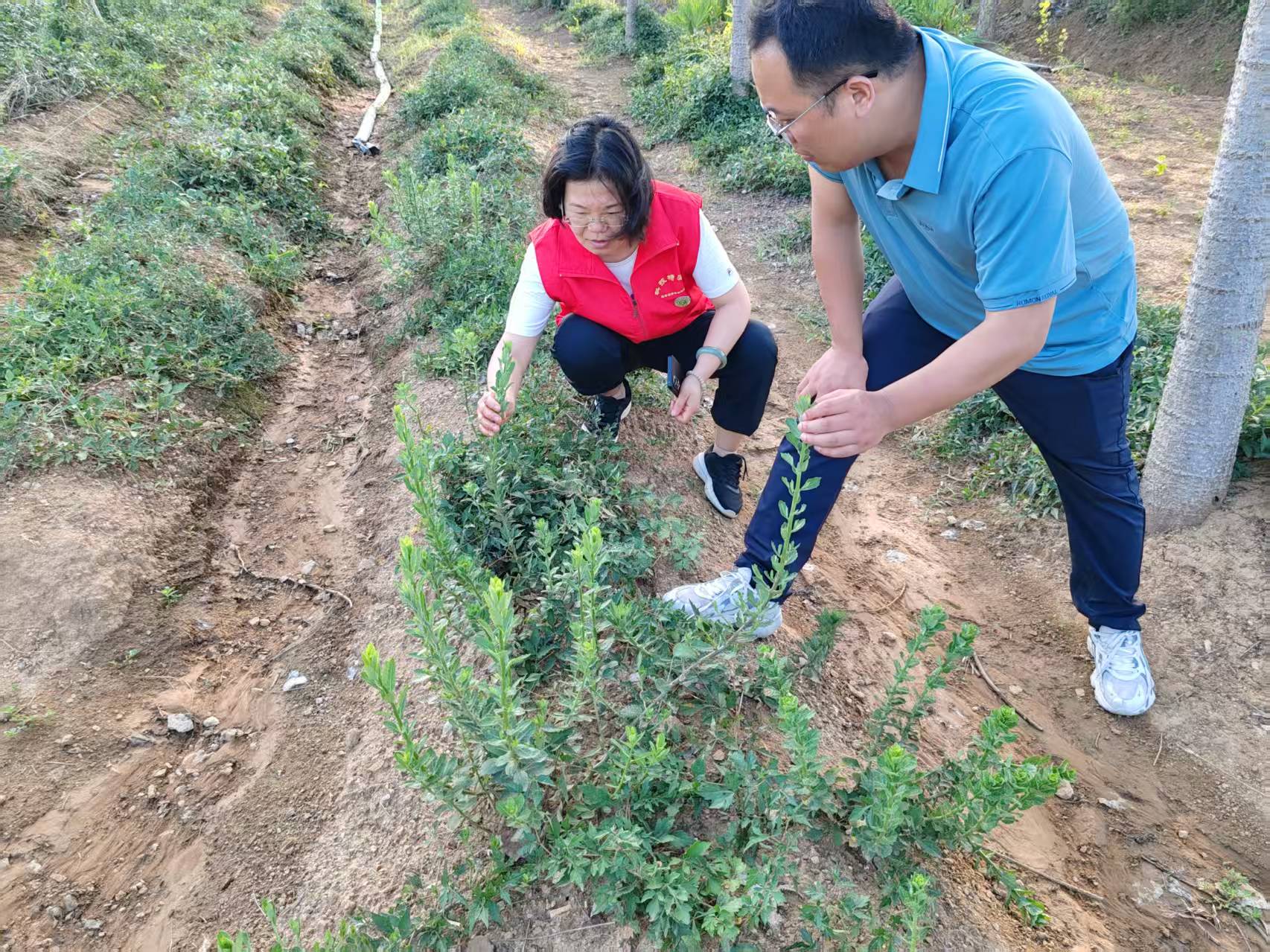 用科技力量守護“道地藥香” 助力“中國藥谷”建設(shè)