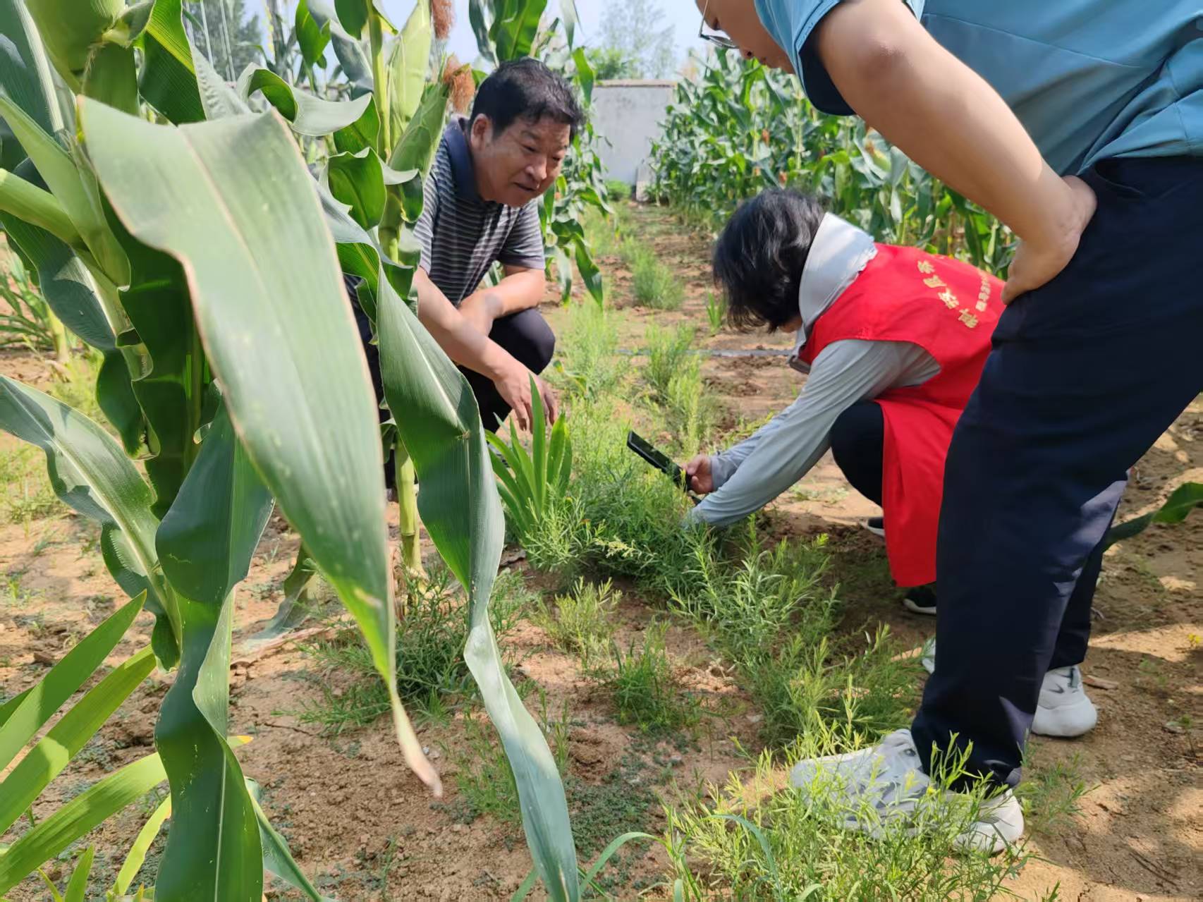 用科技力量守護“道地藥香” 助力“中國藥谷”建設(shè)