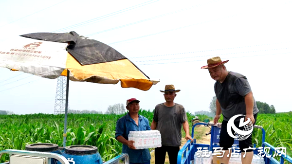 遂平縣和興鎮(zhèn):多措并舉抗旱情同心協(xié)力保民生