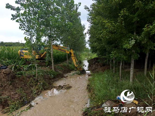 平輿縣李屯鎮(zhèn)三措并舉抗旱保秋 筑牢秋收豐收防線