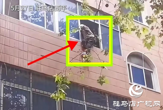 【文明風(fēng)采天中行】一張防滑草墊托起百歲生命