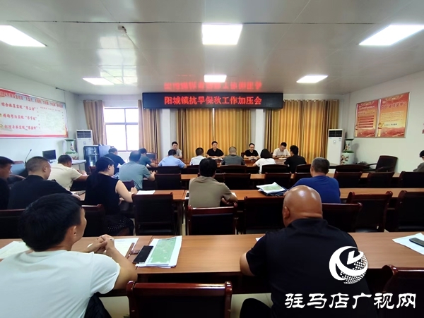 平輿縣陽(yáng)城鎮(zhèn)：抗旱保秋再加壓，攻堅(jiān)沖刺保秋糧