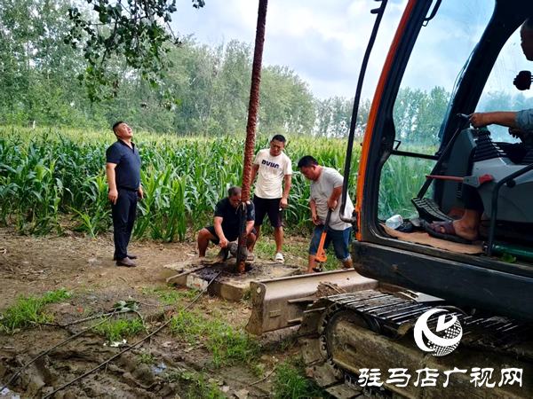 平輿縣李屯鎮(zhèn)三措并舉抗旱保秋 筑牢秋收豐收防線