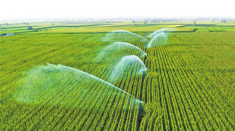 全力打好抗旱保秋攻堅戰(zhàn)