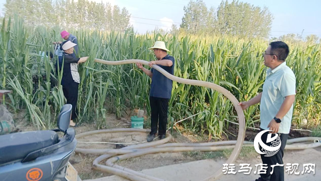 驛城區(qū)朱古洞鄉(xiāng):駐村第一書記抗旱一線當(dāng)先鋒 干群同心保民生