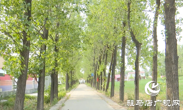 驛城區(qū)朱古洞村:文明生態(tài)村建設(shè)鋪就鄉(xiāng)村振興路