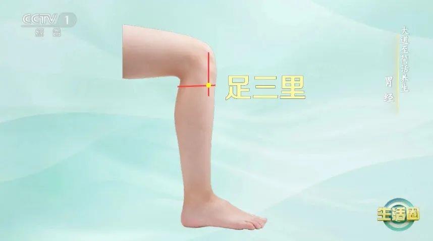 立秋如何養(yǎng)肺？怎么吃更健康？換季養(yǎng)生小貼士請查收