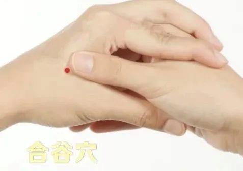 立秋如何養(yǎng)肺？怎么吃更健康？換季養(yǎng)生小貼士請查收