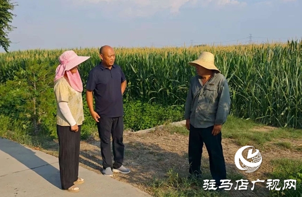 西平縣蘆廟鄉(xiāng):干群合力 抗旱給力