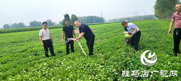 平輿縣中等職業(yè)學(xué)校助力“抗旱保秋”，守護(hù)群眾“糧袋子”