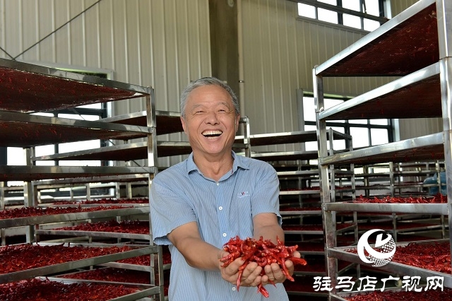 小辣椒喝上“及時(shí)水”——新蔡縣彌陀寺鄉(xiāng)積極抗旱保產(chǎn)