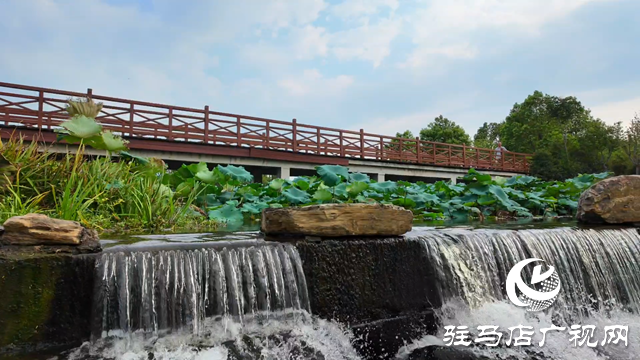天中濕地植物園：從污水凈化到詩意棲居 勾勒生態(tài)新圖景