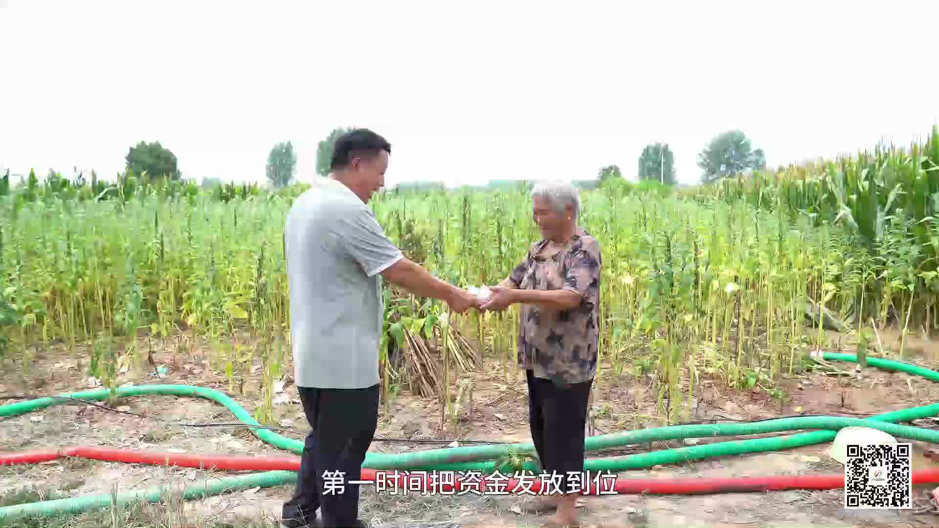 贊！平輿縣萬冢鎮(zhèn)打井每眼立補200元